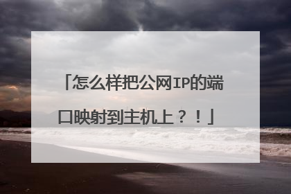 怎么样把公网IP的端口映射到主机上?!