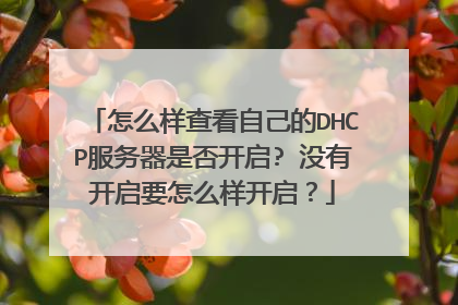 怎么样查看自己的DHCP服务器是否开启? 没有开启要怎么样开启?