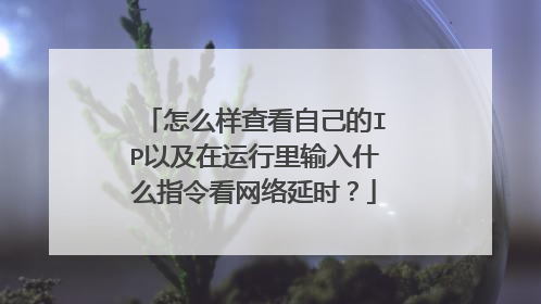怎么样查看自己的IP以及在运行里输入什么指令看网络延时?