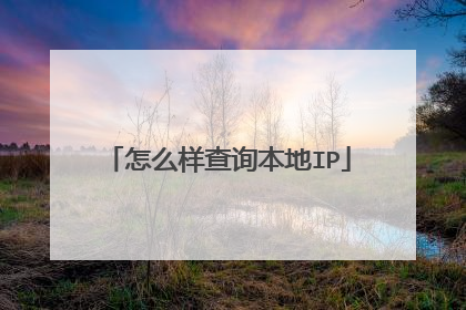 怎么样查询本地IP