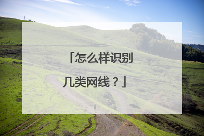 怎么样识别几类网线?
