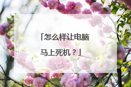 怎么样让电脑马上死机?