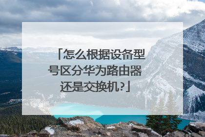 怎么根据设备型号区分华为路由器还是交换机?