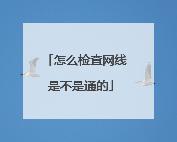 怎么检查网线是不是通的