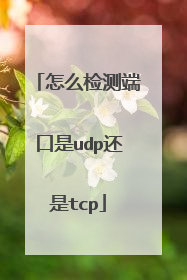 怎么检测端口是udp还是tcp