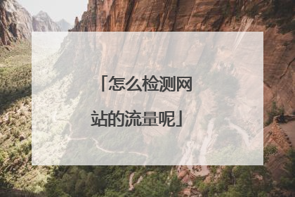 怎么检测网站的流量呢