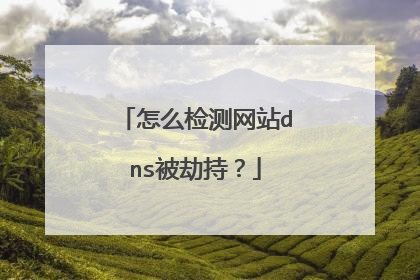 怎么检测网站dns被劫持?