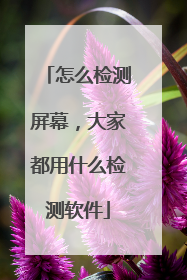 怎么检测屏幕，大家都用什么检测软件