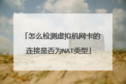 怎么检测虚拟机网卡的连接是否为NAT类型