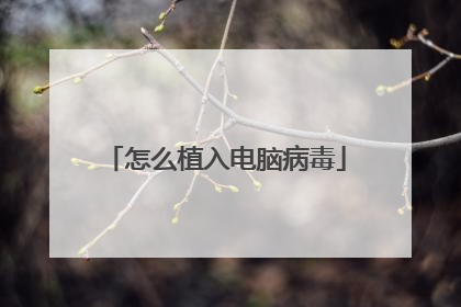 怎么植入电脑病毒