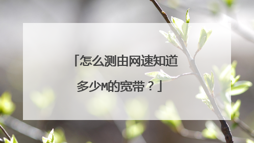 怎么测由网速知道多少M的宽带?