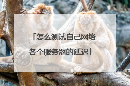 怎么测试自己网络各个服务器的延迟