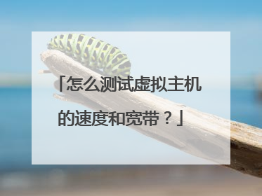 怎么测试虚拟主机的速度和宽带?
