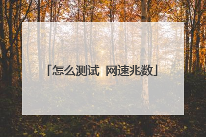 怎么测试 网速兆数