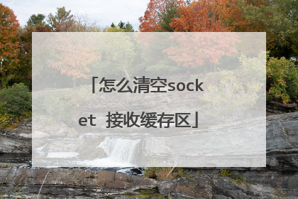 怎么清空socket 接收缓存区