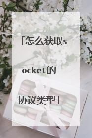 怎么获取socket的协议类型