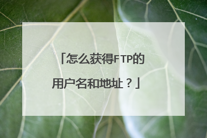 怎么获得FTP的用户名和地址？