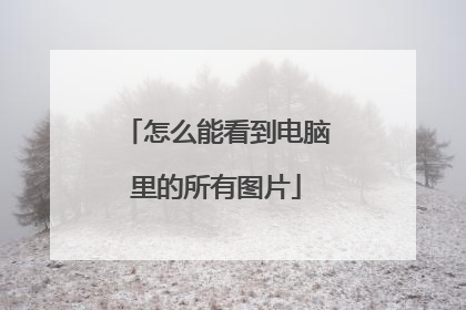 怎么能看到电脑里的所有图片