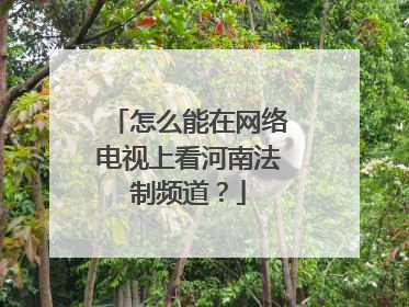 怎么能在网络电视上看河南法制频道？