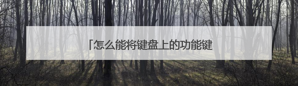 怎么能将键盘上的功能键设成多个按键的组合？