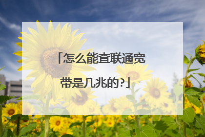 怎么能查联通宽带是几兆的?
