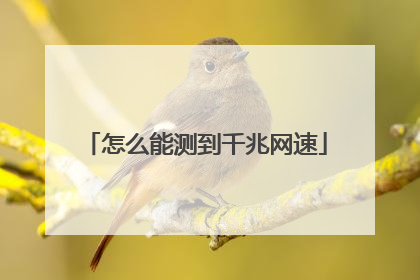 怎么能测到千兆网速