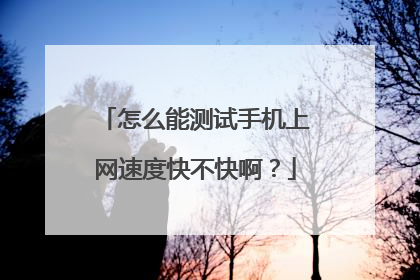 怎么能测试手机上网速度快不快啊?