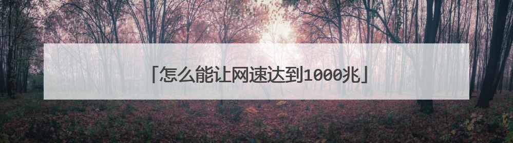怎么能让网速达到1000兆