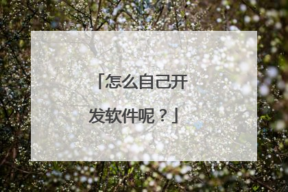 怎么自己开发软件呢?