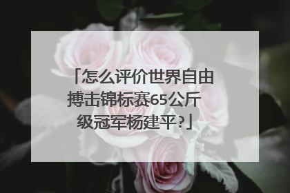 怎么评价世界自由搏击锦标赛65公斤级冠军杨建平?