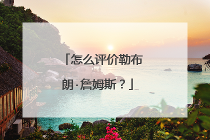 怎么评价勒布朗·詹姆斯?