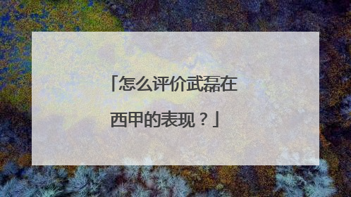 怎么评价武磊在西甲的表现？
