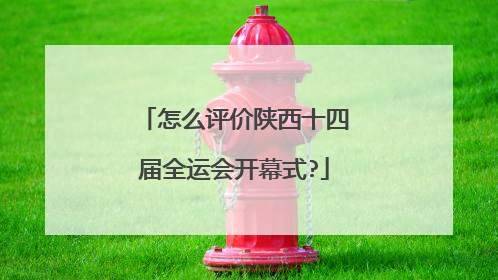 怎么评价陕西十四届全运会开幕式?