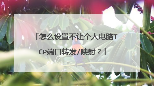 怎么设置不让个人电脑TCP端口转发/映射？