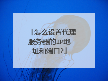怎么设置代理服务器的IP地址和端口?