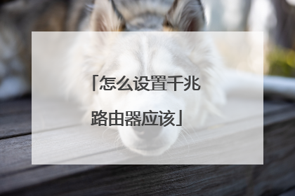 怎么设置千兆路由器应该