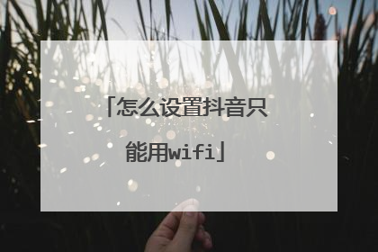 怎么设置抖音只能用wifi