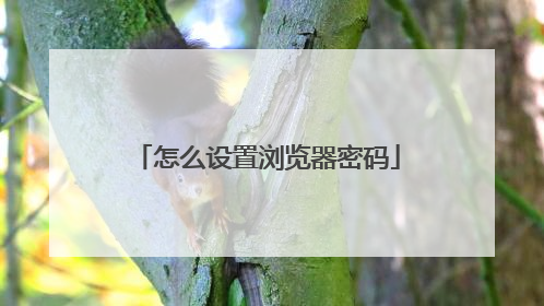 怎么设置浏览器密码