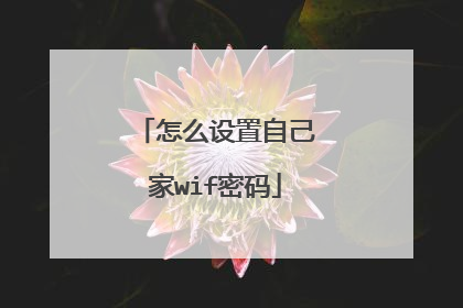 怎么设置自己家wif密码