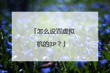 怎么设置虚拟机的IP？