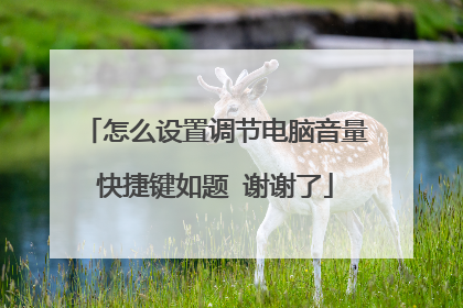 怎么设置调节电脑音量快捷键如题 谢谢了
