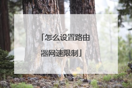 怎么设置路由器网速限制