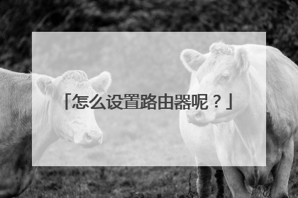 怎么设置路由器呢?