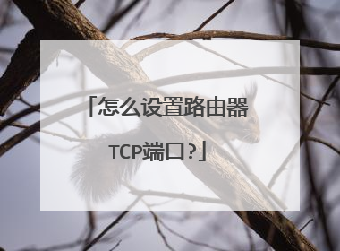 怎么设置路由器TCP端口?