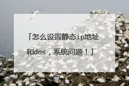 怎么设置静态ip地址和dns，系统问题！