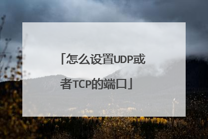 怎么设置UDP或者TCP的端口