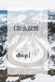怎么设置dhcp