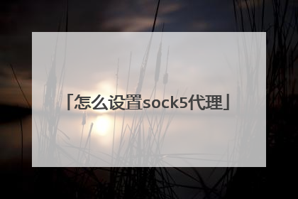 怎么设置sock5代理