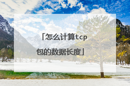 怎么计算tcp包的数据长度