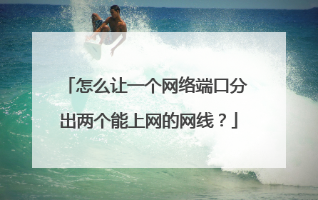 怎么让一个网络端口分出两个能上网的网线?